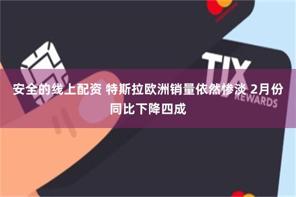 安全的线上配资 特斯拉欧洲销量依然惨淡 2月份同比下降四成