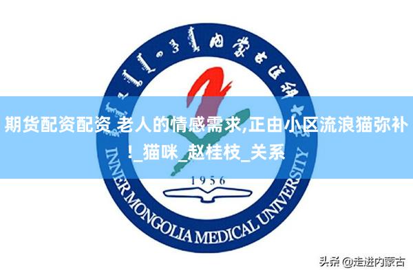 期货配资配资 老人的情感需求,正由小区流浪猫弥补!_猫咪_赵桂枝_关系