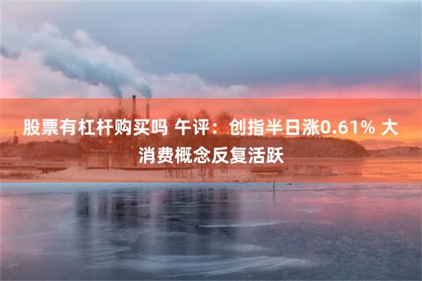股票有杠杆购买吗 午评：创指半日涨0.61% 大消费概念反复活跃