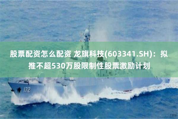 股票配资怎么配资 龙旗科技(603341.SH)：拟推不超530万股限制性股票激励计划