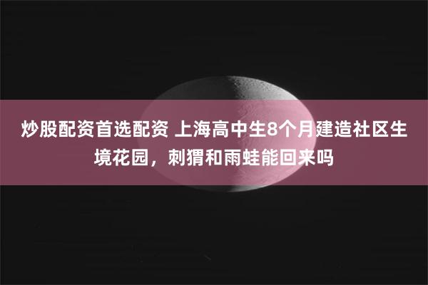 炒股配资首选配资 上海高中生8个月建造社区生境花园，刺猬和雨蛙能回来吗