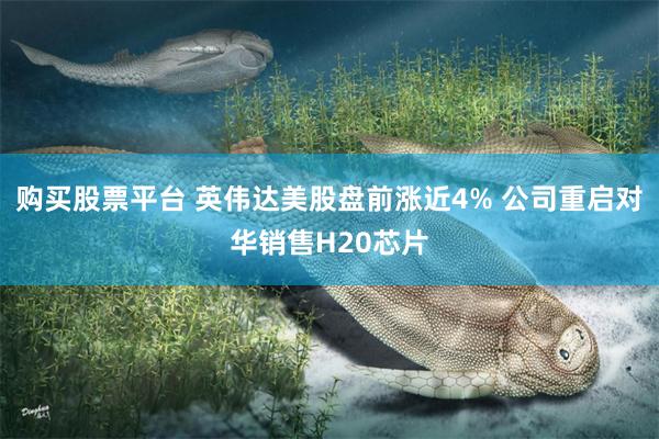 购买股票平台 英伟达美股盘前涨近4% 公司重启对华销售H20芯片