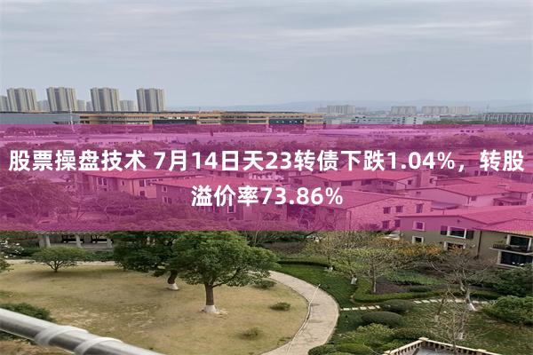 股票操盘技术 7月14日天23转债下跌1.04%，转股溢价率73.86%