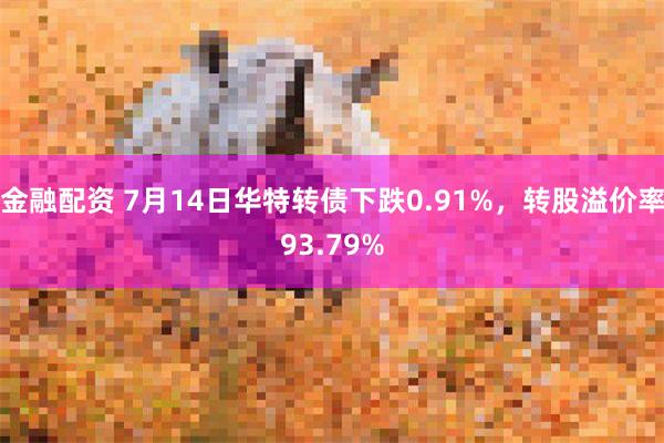 金融配资 7月14日华特转债下跌0.91%，转股溢价率93.79%