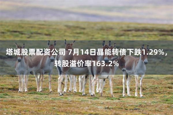 塔城股票配资公司 7月14日晶能转债下跌1.29%，转股溢价率163.2%