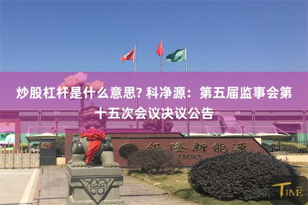 炒股杠杆是什么意思? 科净源：第五届监事会第十五次会议决议公告