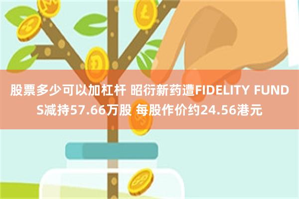 股票多少可以加杠杆 昭衍新药遭FIDELITY FUNDS减持57.66万股 每股作价约24.56港元