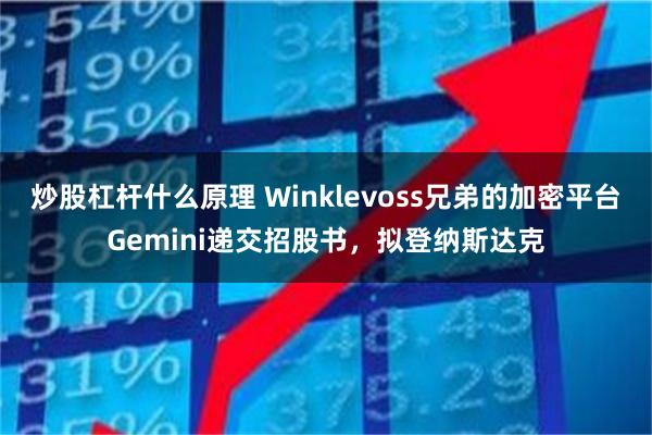 炒股杠杆什么原理 Winklevoss兄弟的加密平台Gemini递交招股书，拟登纳斯达克