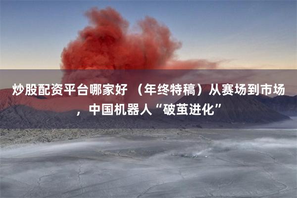 炒股配资平台哪家好 （年终特稿）从赛场到市场，中国机器人“破茧进化”